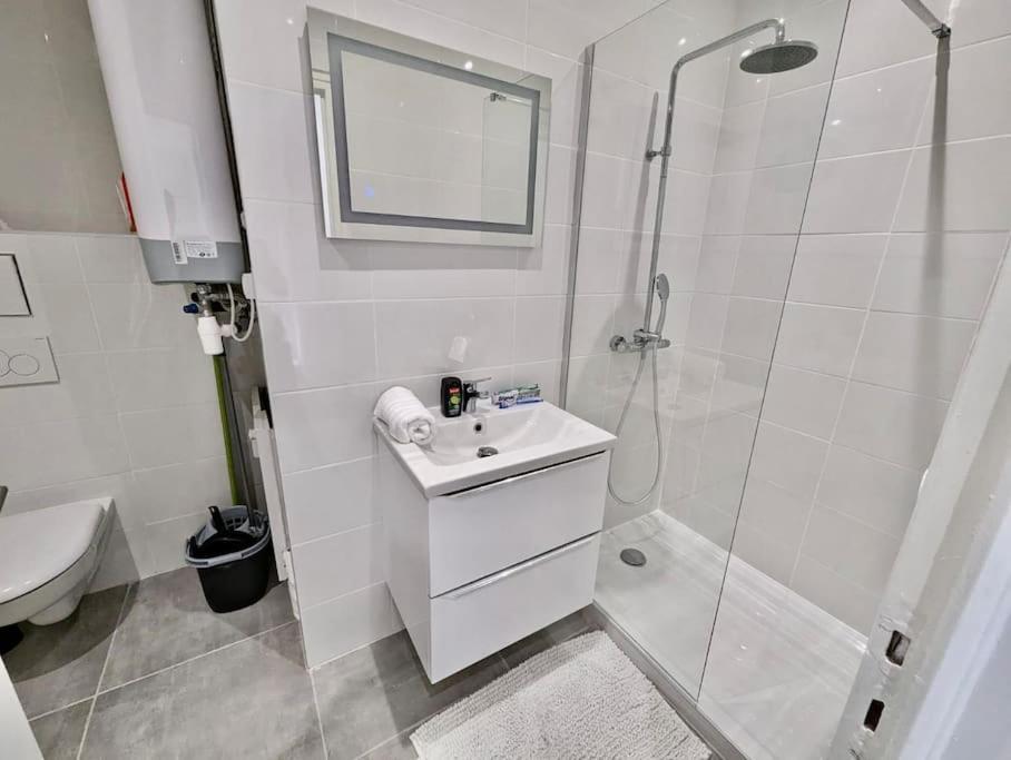 Magnifique T2 Refait A Neuf - Calme & Tout Equipe Avec Parking Гренобль Экстерьер фото